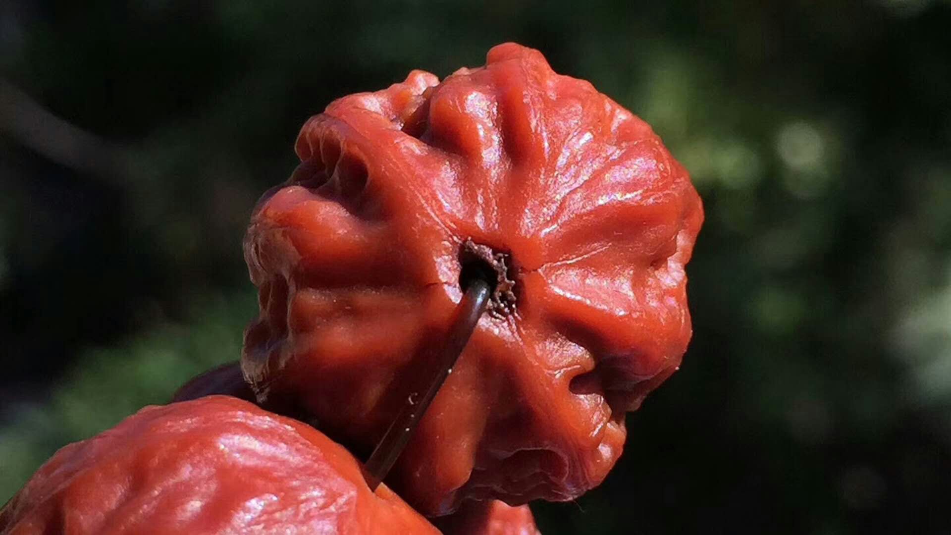 最值得玩的小核桃手串,老核桃手串收藏