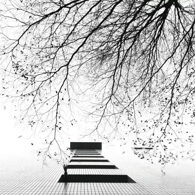 手机摄影课程安排表,手机摄影中级班免费全套课程