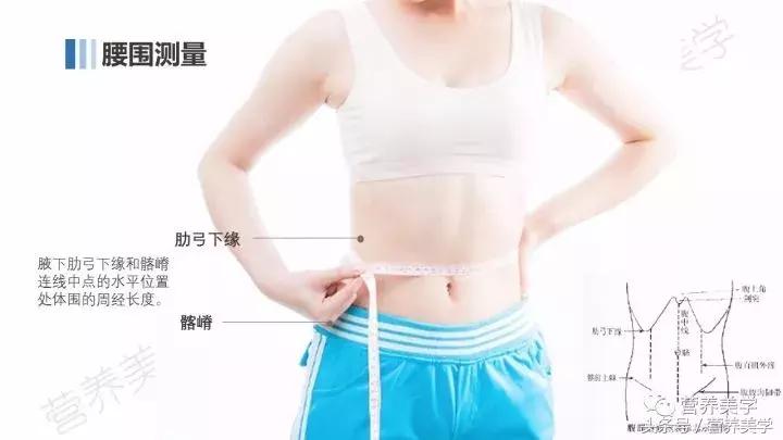 高尿酸血症饮食指南,高尿酸血症的饮食一览表