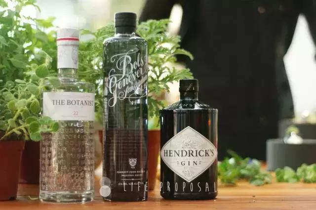 「微微8醺」vol.6｜是金酒代表了人，还是人喝出了金酒的优雅？