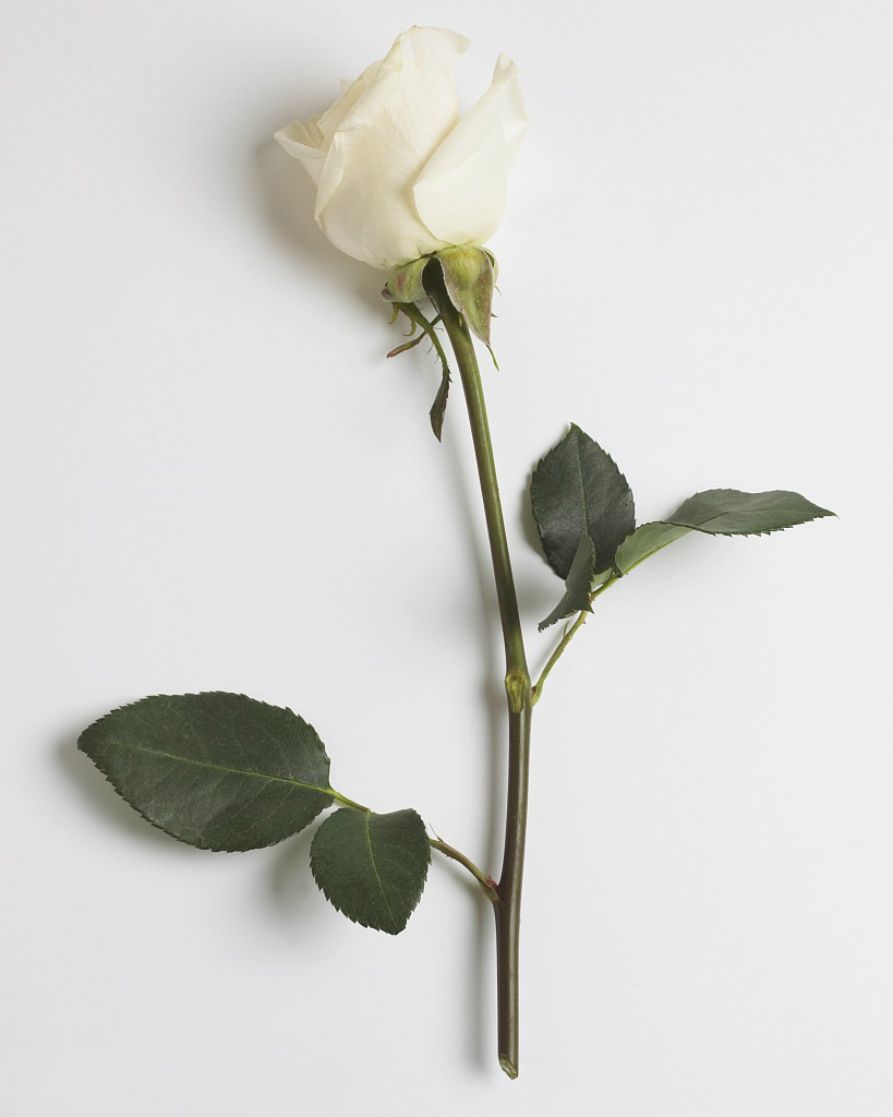 白带过多怎么办？如何调理白带问题