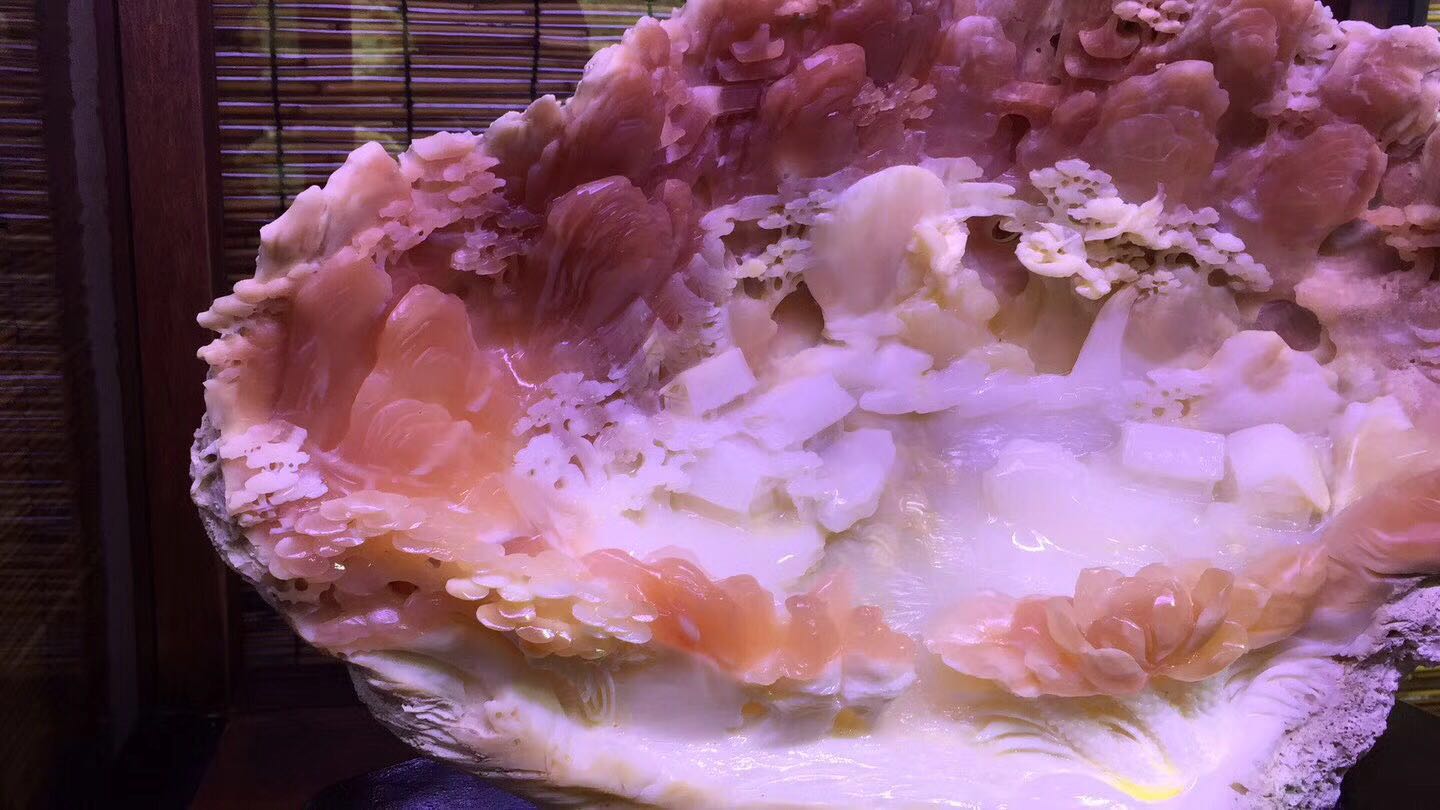 海洋滋养,砗磲应该如何盘玩