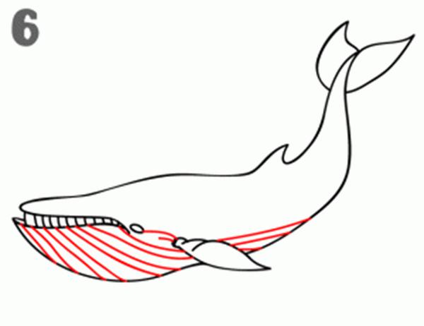 人鱼超萌简笔画教程简单,简笔画海洋生物简单的画法