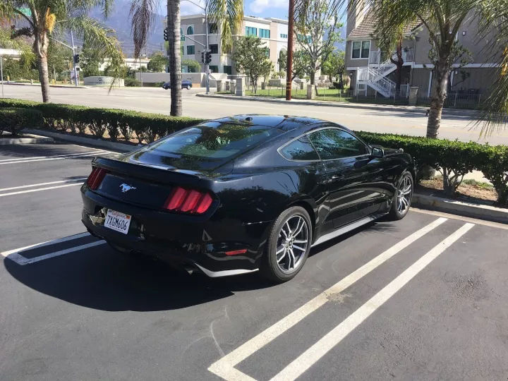 北美野马,北美福特野马