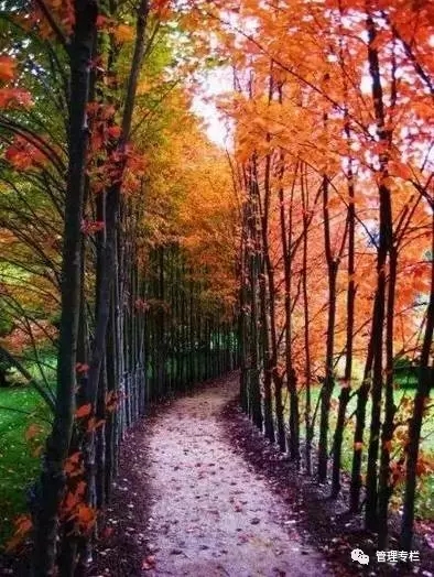 厚黑之道易而难,厚黑处世智慧全集