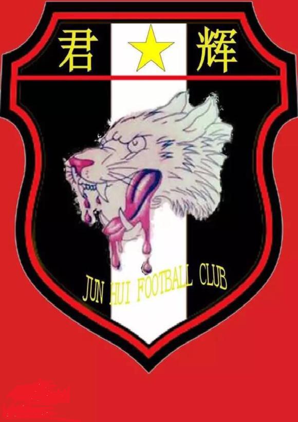 中丙共有多少球队,中丙中乙中甲中超