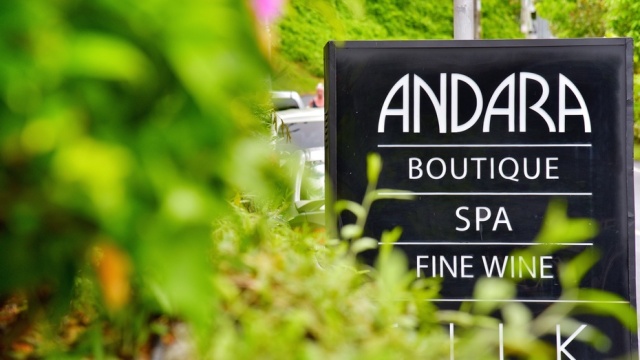 谁陪我度过安达拉的迷人夜