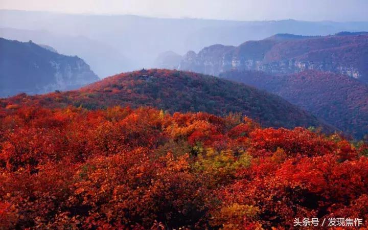 2016年焦作红叶节,焦作神农山红叶节