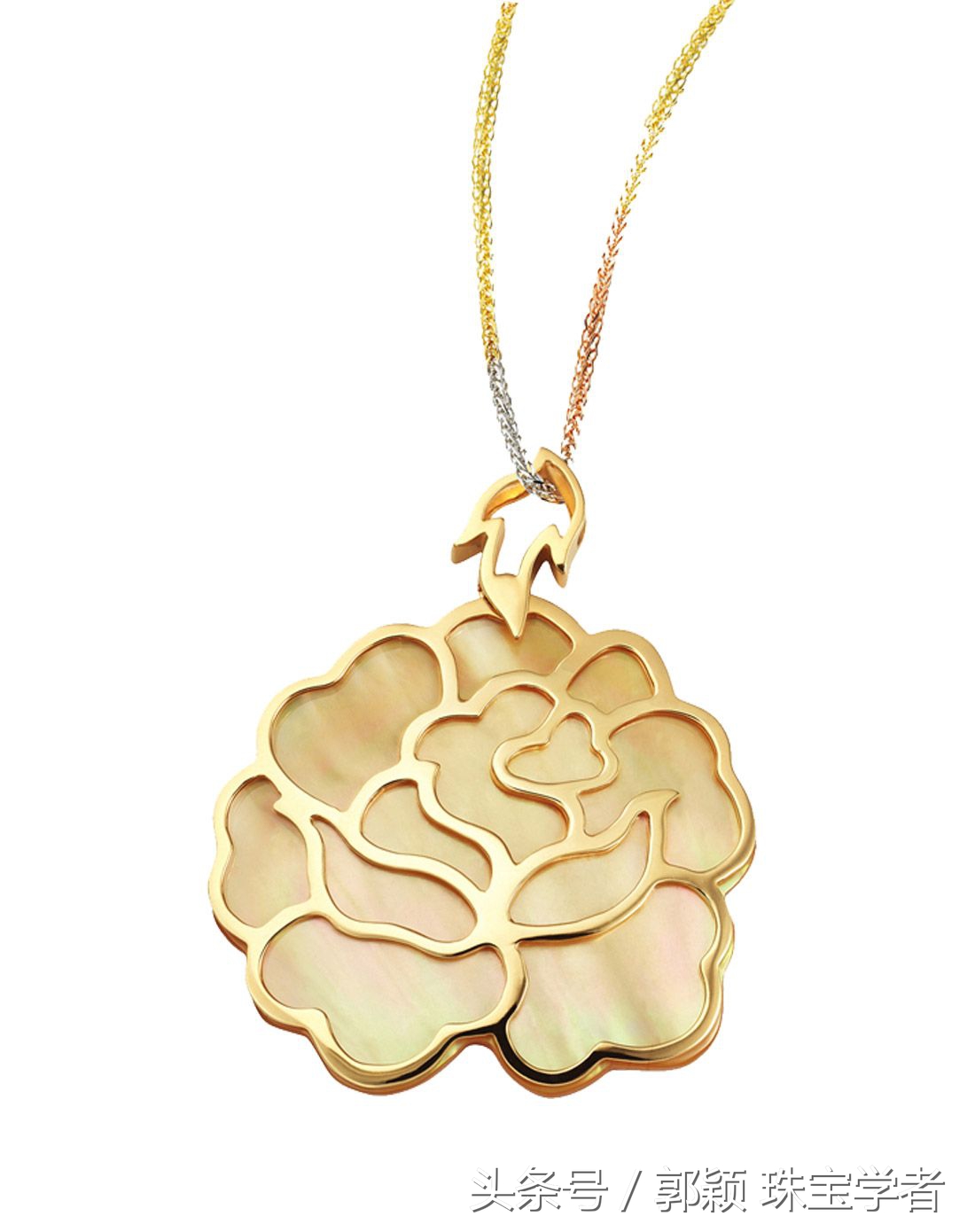 娴锋磱閲岀殑鍚勭缇庡懗铻冭煿,灏忕簿鐏靛悆铻冭煿