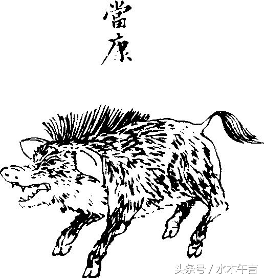 古人的脑洞图片大全,古代人的脑洞真大