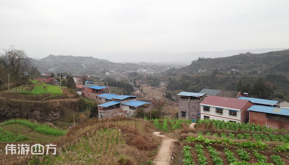 当家里的电视能收几十个台的时候你已不再看电视了