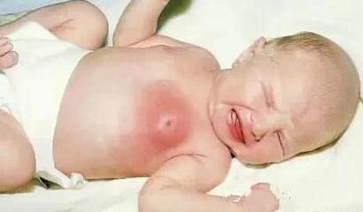 新手宝妈必入的育儿宝典,新生儿宝宝育儿宝典