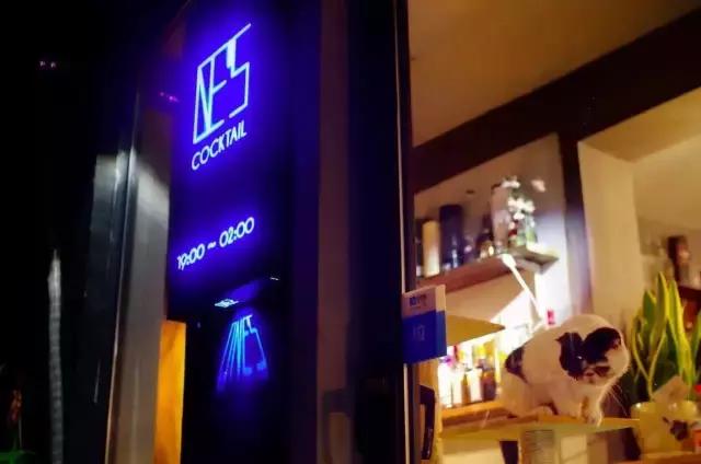 贵阳鸡尾酒吧攻略,贵阳唯一能脱单的酒吧