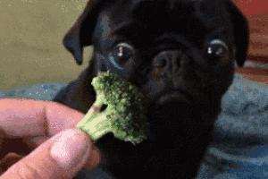 国庆去了趟迪拜,发现有钱人都在喝这个