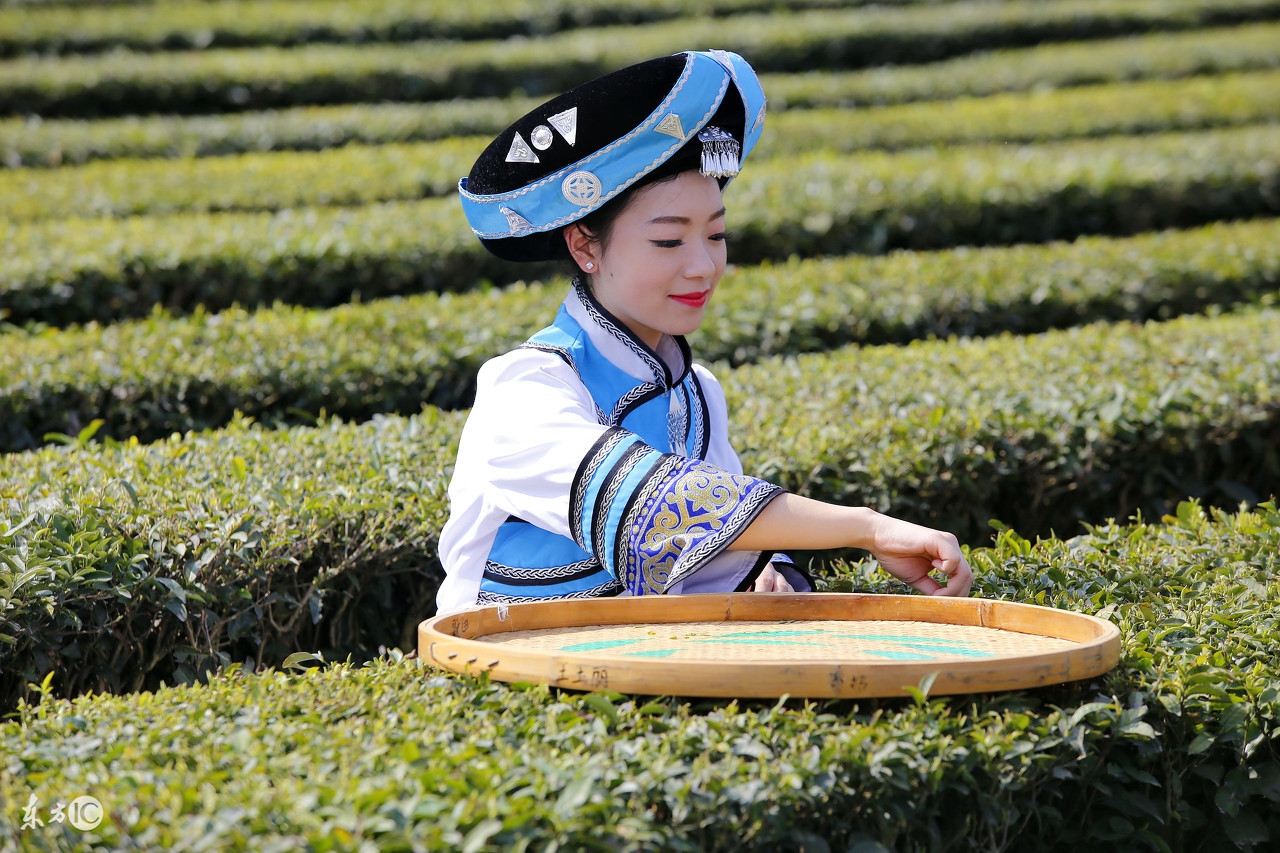 贵州哪个茶叶入选中国十大名茶,顶级白茶照片中国十大名茶