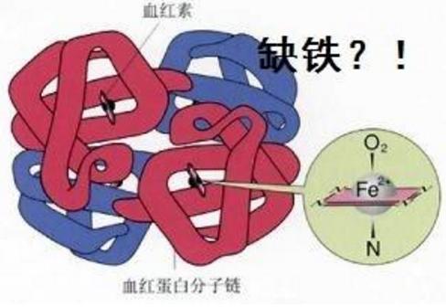 6个症状告诉你身体铁元素丢了,即将面临贫血,这5种食品是它天敌