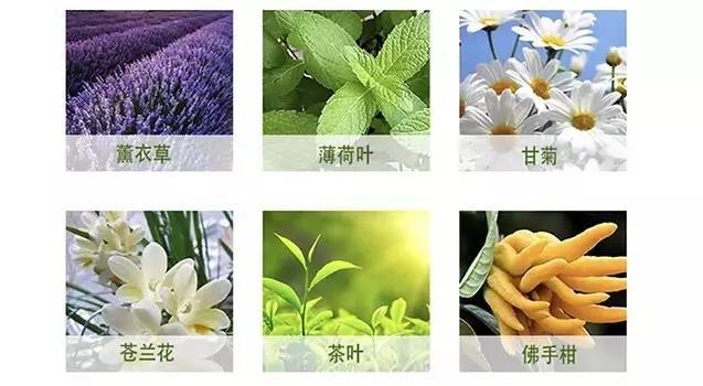 神仙水的平价替代,sk-ii神仙水怎么买比较好