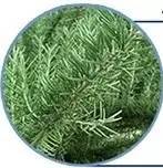 神仙水的平价替代,sk-ii神仙水怎么买比较好