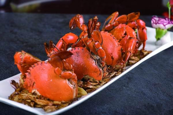 厦门自助游旅行攻略,厦门旅游攻略五日自助游攻略最新