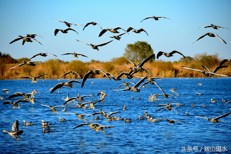 黄河入海的壮观景象航拍,航拍黄河瀑布全景图