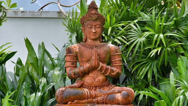 谁陪我度过安达拉的迷人夜