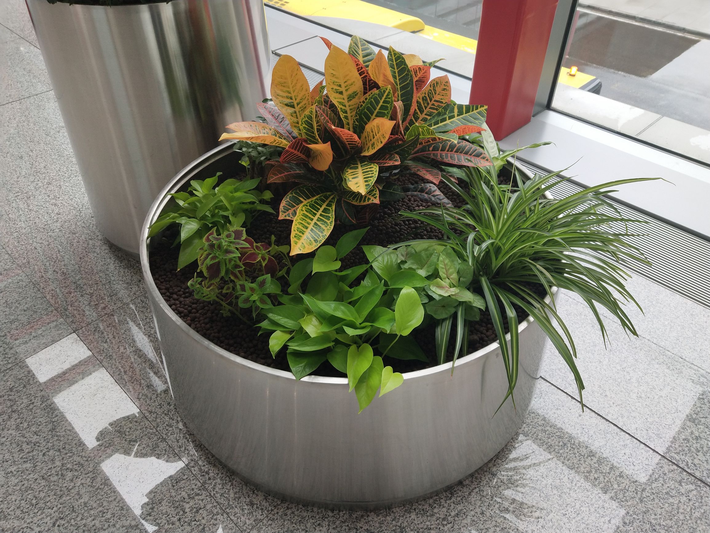 vivox20三个键是全面屏吗,vivox20全面屏时代开启