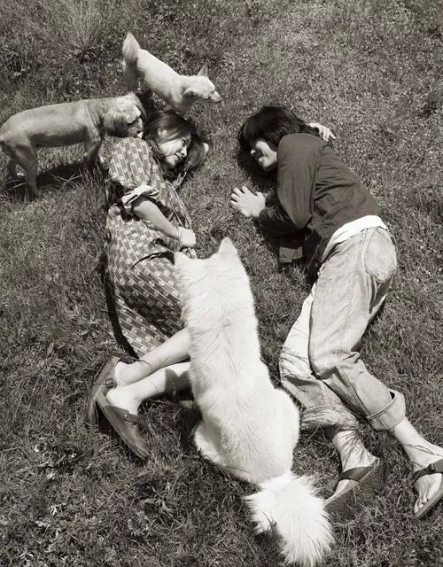 很好看的综艺韩国,这部韩国恋爱综艺有哪些看点