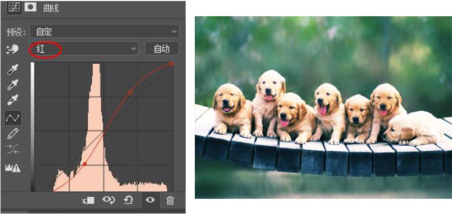 photoshop调整曲线教程,photoshop曲线技巧和修图教程