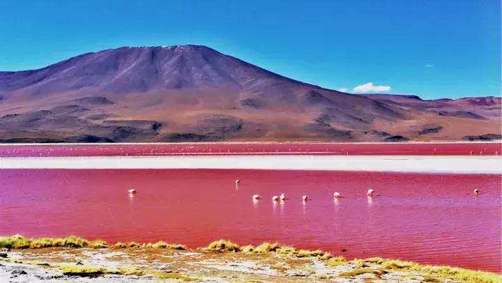 自驾游穿越南美洲,玻利维亚旅行