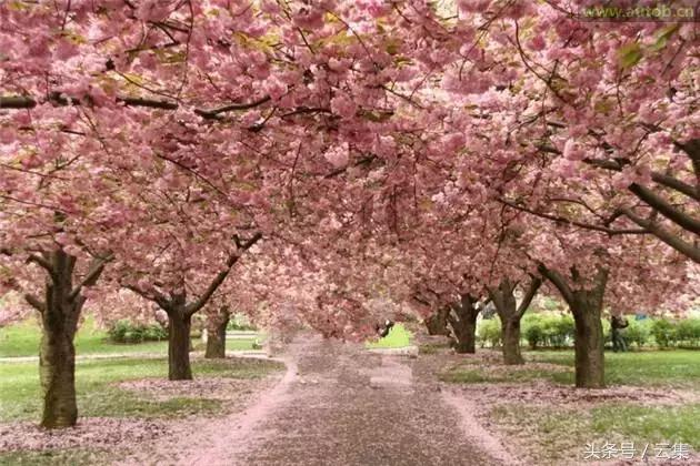 不出辽宁去哪里玩最好,不出沈阳市也能玩得很开心