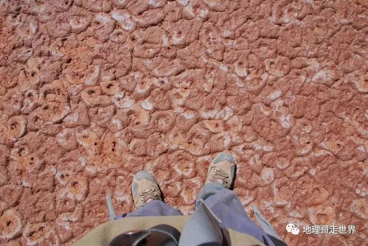 最后的藏北无人区,藏北无人区旅游