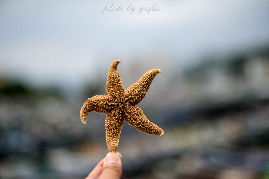 东方夏威夷惠来县,东方夏威夷广东