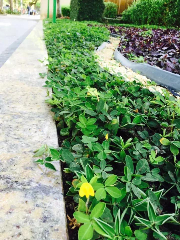 陈说天下|吃货也搞不明白,这些食物不能“穿越”!