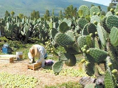 法国火车站台接吻，在伊朗议论婴儿的眼睛，旅行禁忌你可能都会犯