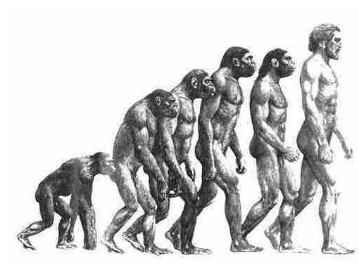 猿变人的原因,人类进化史的猿类是怎么来的