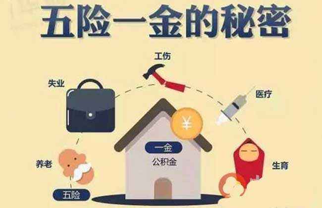 个人五险一金怎么交最划算,五险一金怎么交的具体规定有哪些