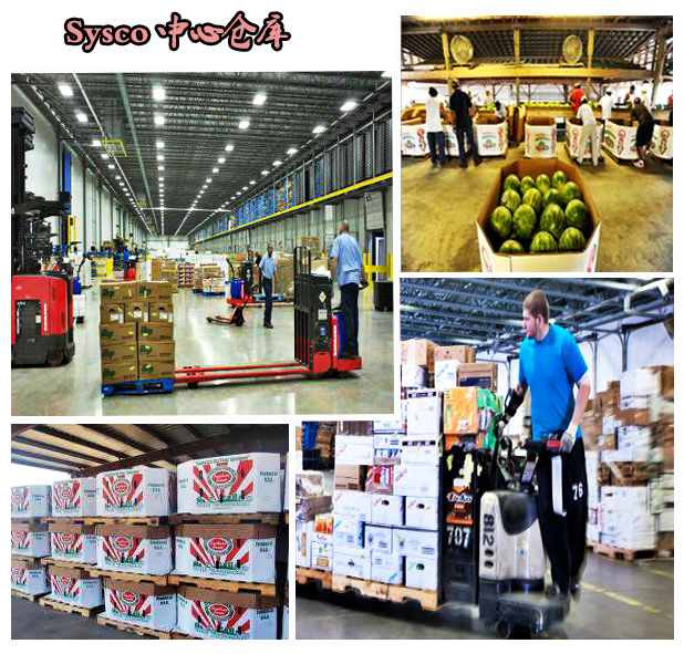 深圳蔬菜配送公司成功案例,蔬菜水果配送成功案例