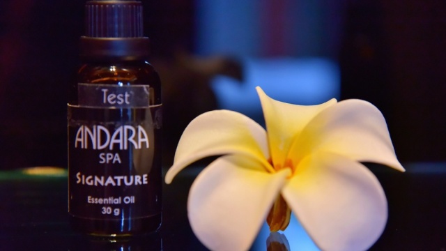 谁陪我度过安达拉的迷人夜