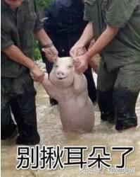 2021年福州几个区房价排行表,福州房价成交最高前十