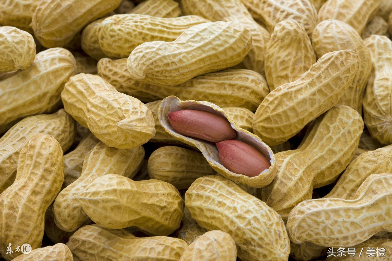 老年人适合吃的坚果有哪些,孕妈哪种坚果营养最好