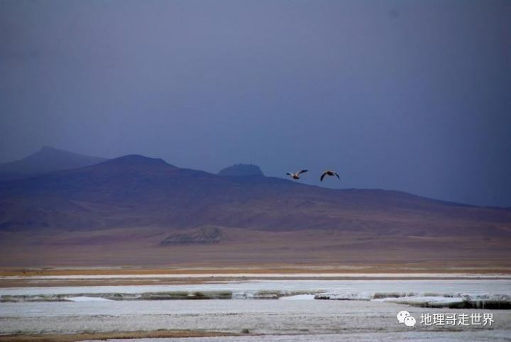 最后的藏北无人区,藏北无人区旅游