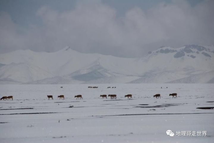 最后的藏北无人区,藏北无人区旅游