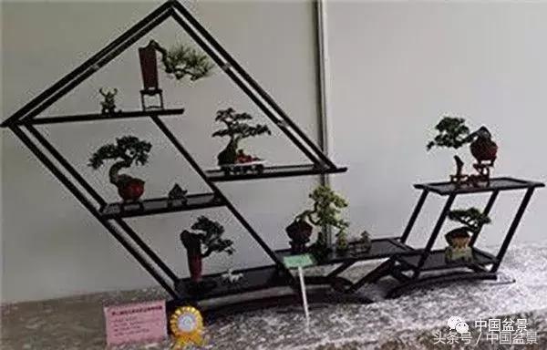 如何看待盆景的技法,盆景入坑的十大感受