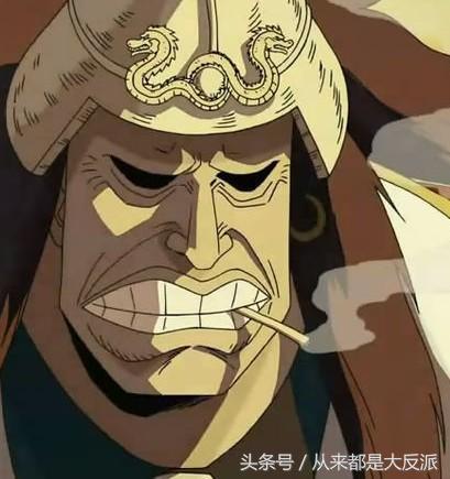 海贼王有多少人出场,海贼王一共出现了多少个人物