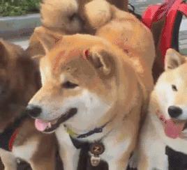 学校组织学生第二天穿父母工作服来上课，小明真太屌丝了