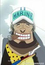 海贼王有多少人出场,海贼王一共出现了多少个人物