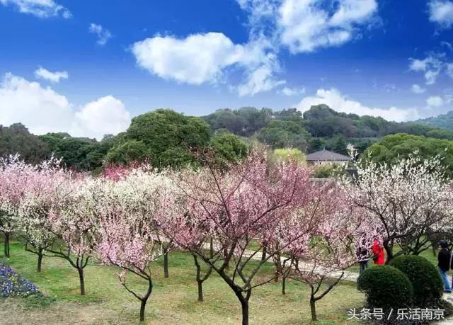 在南京的房价,南京最低房价小区