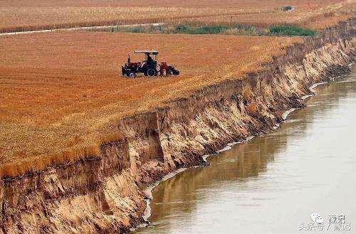 原阳为什么产大米,央视评价原阳大米