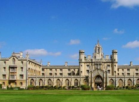 猿变人的原因,人类进化史的猿类是怎么来的