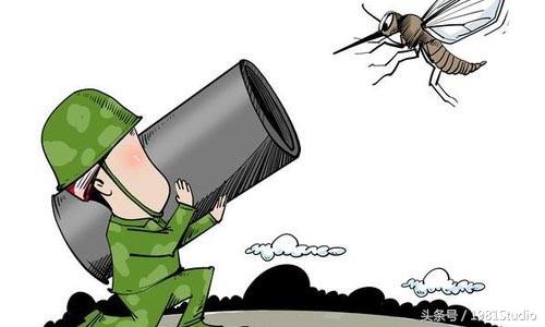 多大功率激光可以打死蚊子,激光炮打蚊子价格